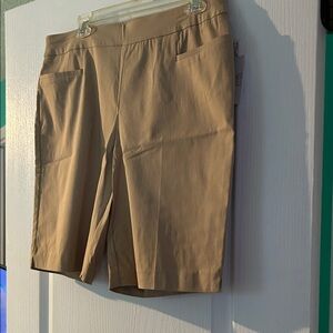 Time and Tru Men's Khaki Flat Front Shorts